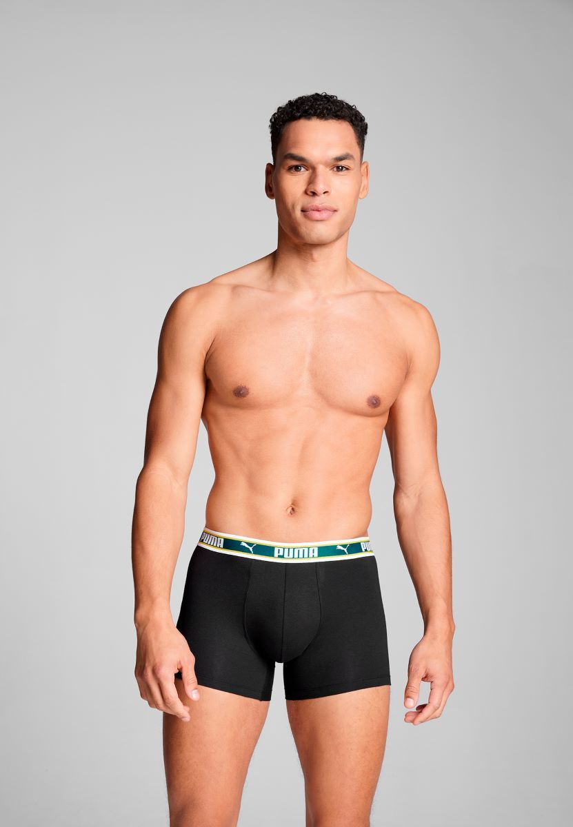 Puma Boxershorts Dual Logo 2-pack Sea Green