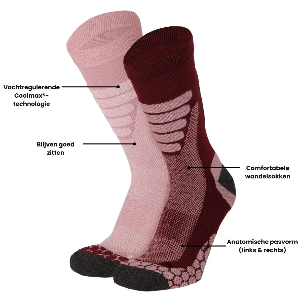 Xtreme Wandelsokken 6-pack Multi Burgundy