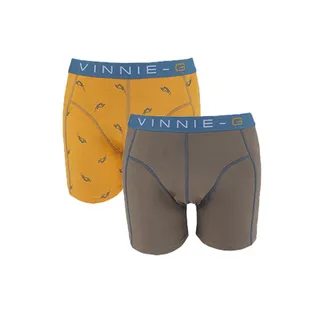 Vinnie-G Boys boxershorts Wakeboard Grey - Print 2-Pack